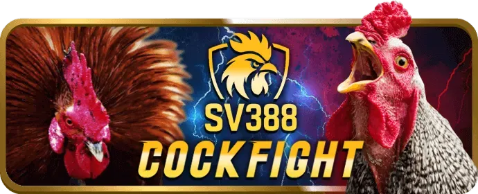 Ưu điểm vượt trội khi cá cược đá gà tại bet365 chính thức